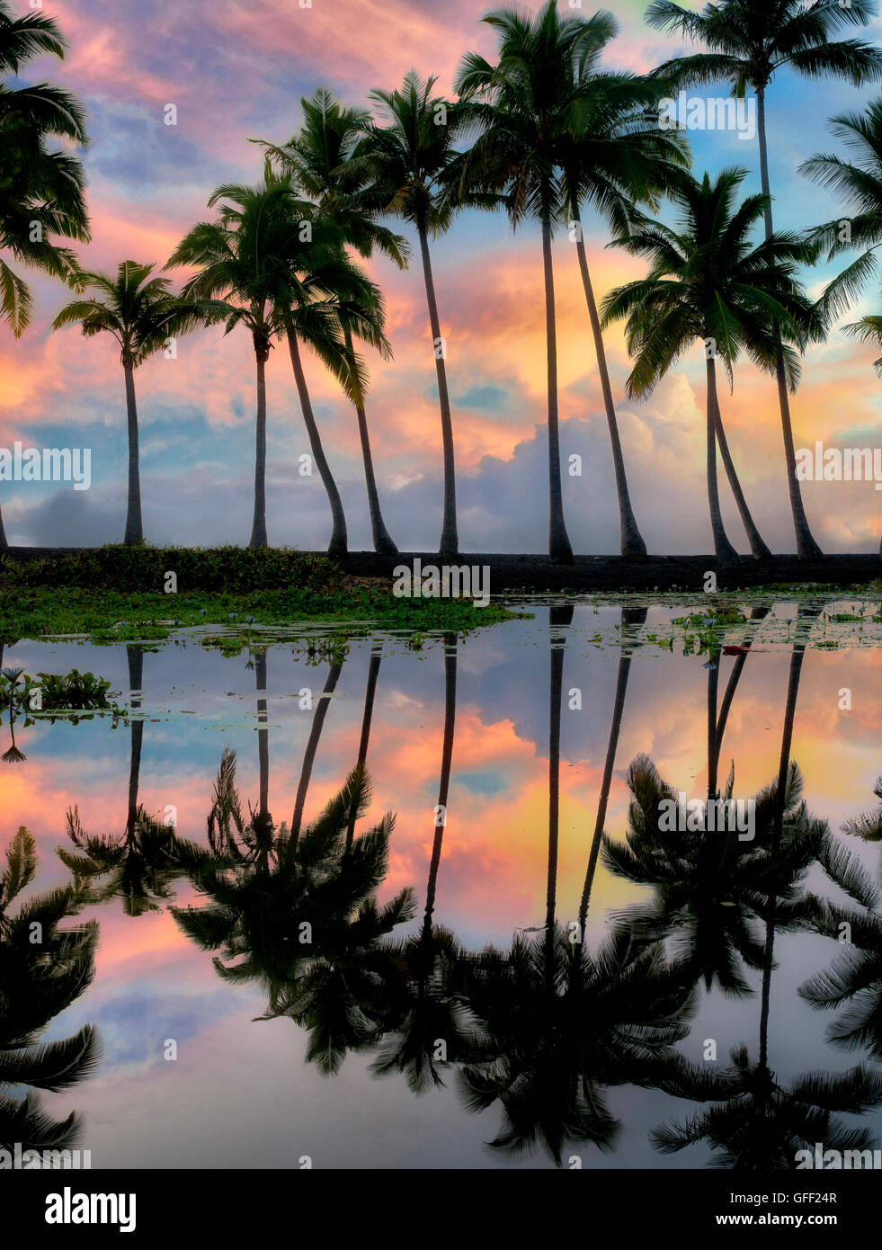 Palme riflettendo in stagno con sunrise. Punaluu spiaggia di sabbia nera. Isola di Hawaii Foto Stock