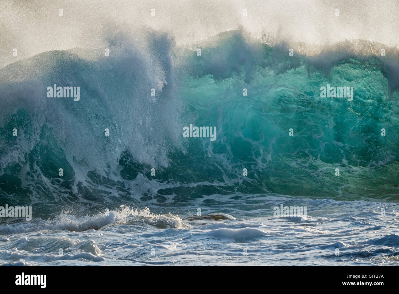 Grandi onde dell'oceano. Isola delle Hawaii. Foto Stock