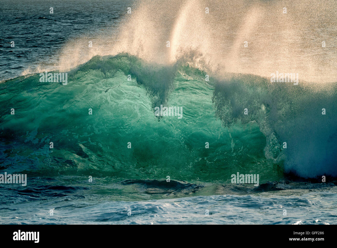 Grandi onde dell'oceano. Isola delle Hawaii. Foto Stock