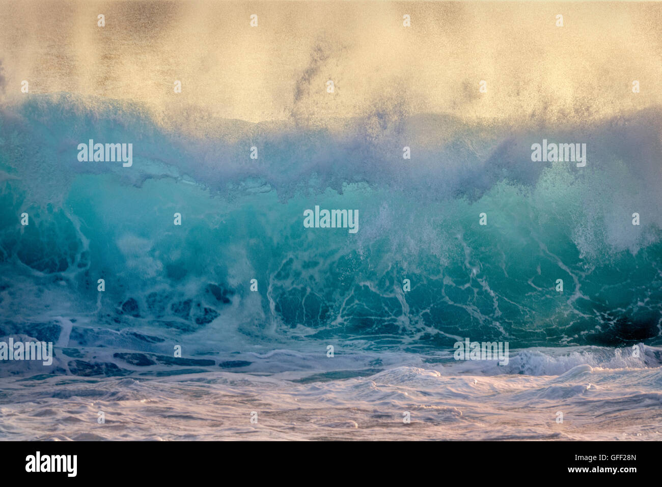 Grandi onde dell'oceano. Isola delle Hawaii. Foto Stock