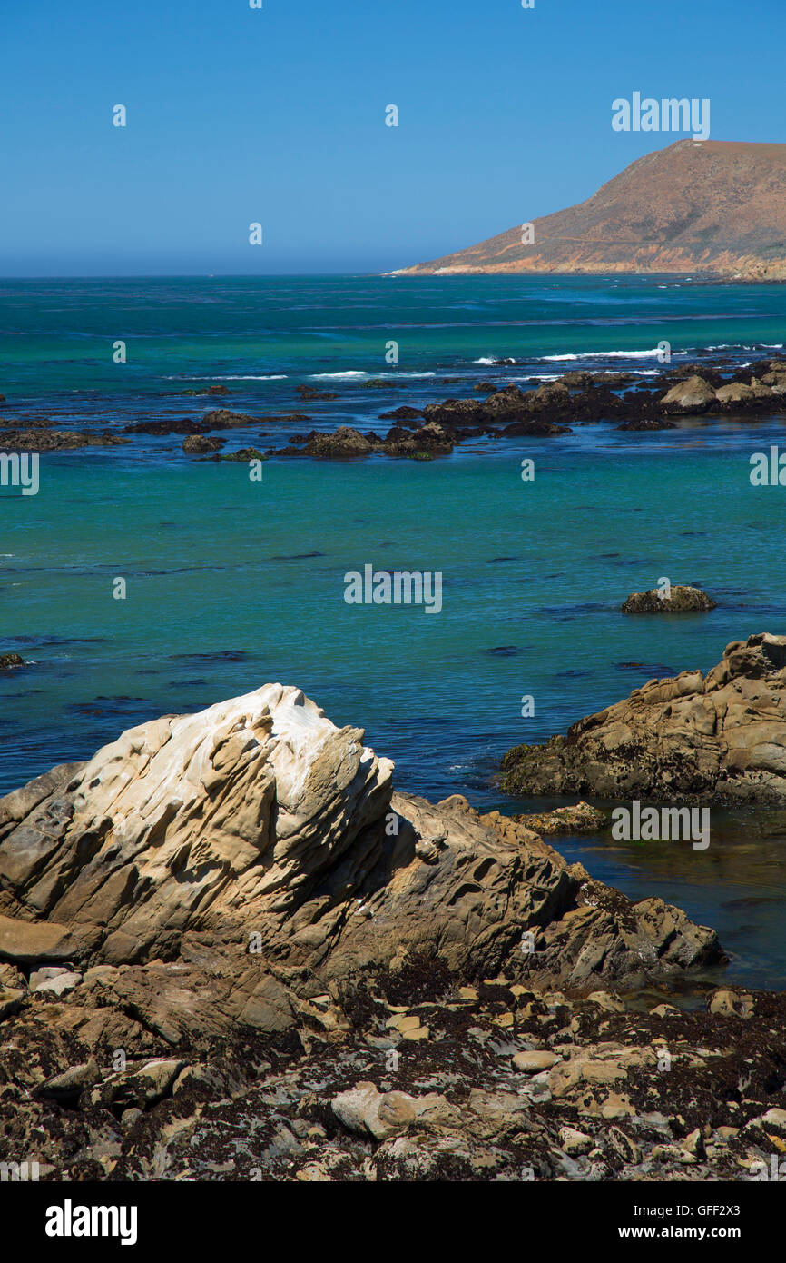 Costa rocciosa, Estero Bluffs State Park, California Foto Stock