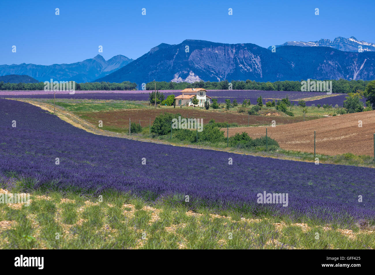Paesaggio nel Luberon, Francia Foto Stock