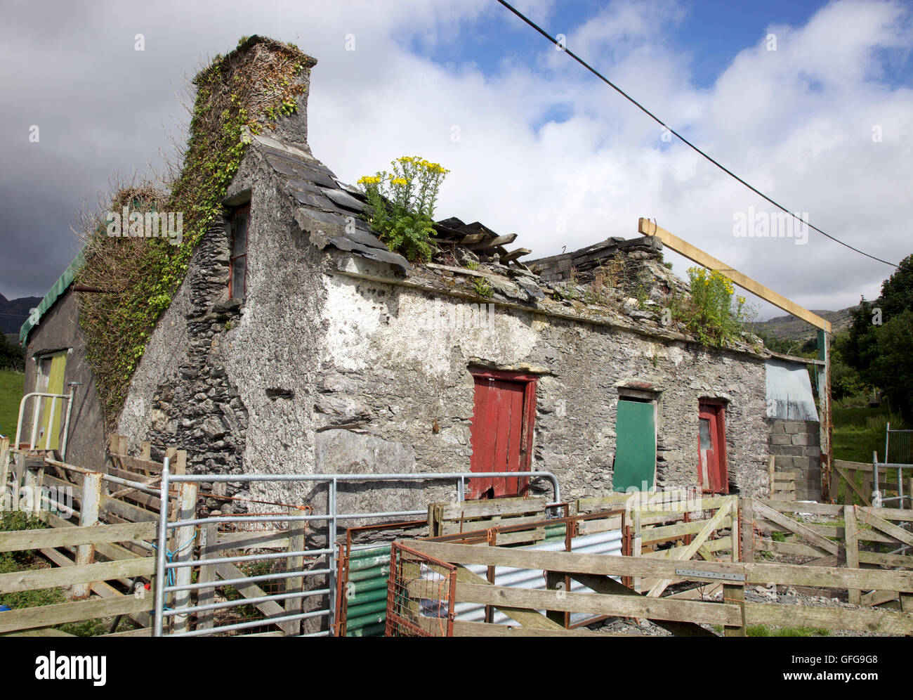 Rovinato cottage sulla penisola di Beara, West Cork Foto Stock