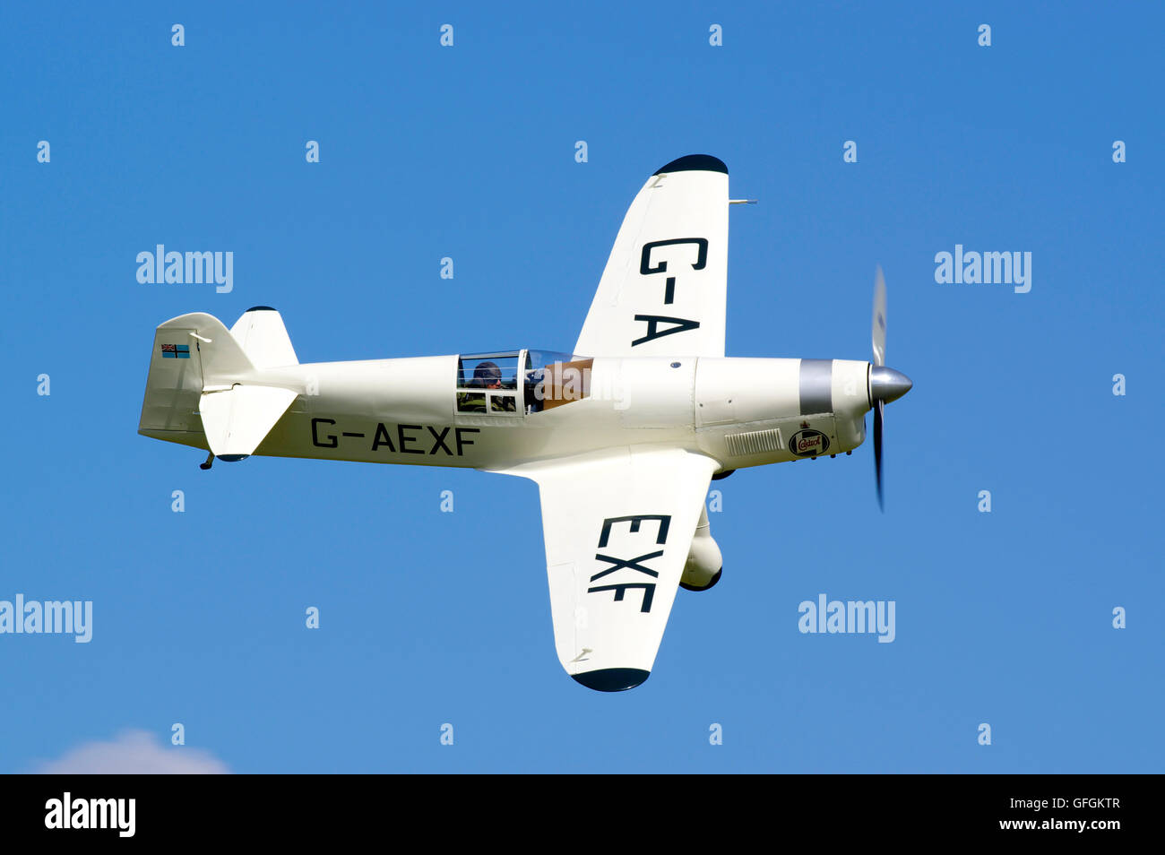 Gull Mew Percival, G-AEXF, Foto Stock