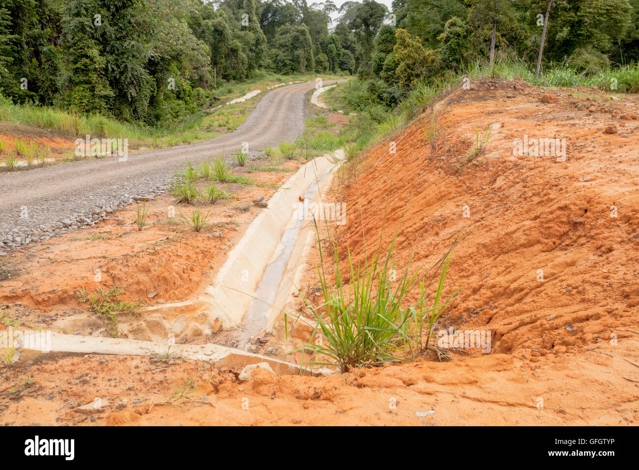 Strada essendo costruito nella foresta pluviale conservation area Maliau Basin, Sabah Borneo Malese Foto Stock