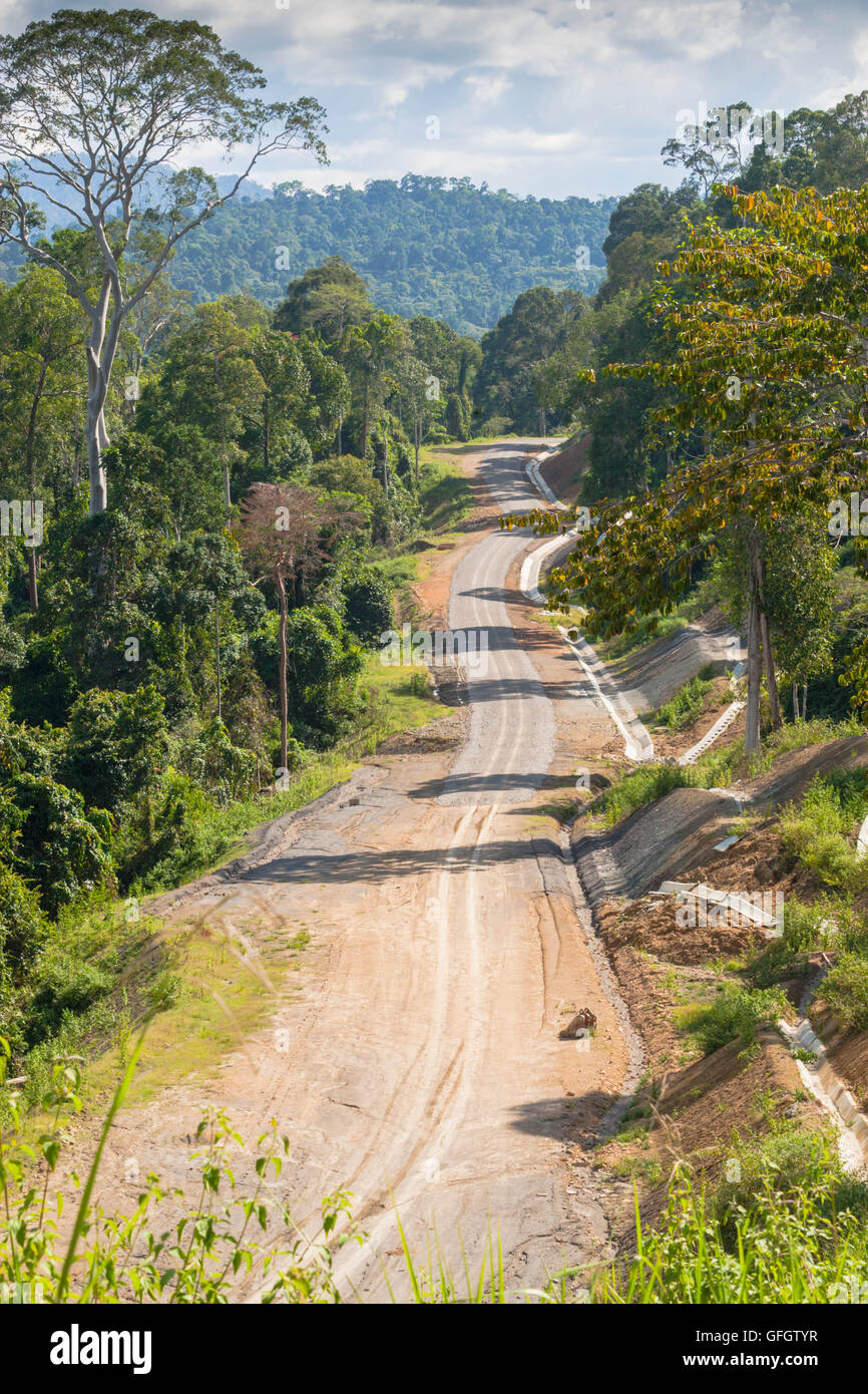 Strada essendo costruito nella foresta pluviale conservation area Maliau Basin, Sabah Borneo Malese Foto Stock