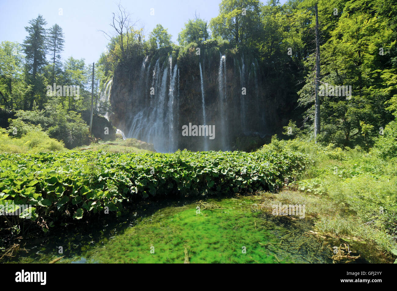 Le cascate di Plitvitce laghi, Croazia Foto Stock