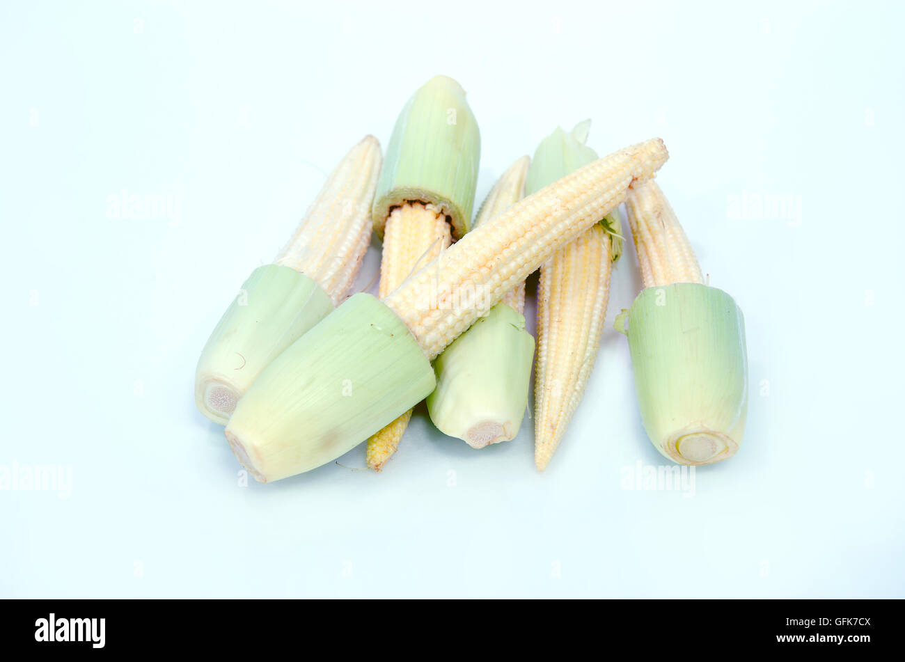 Bambino frutto di mais (noto anche come giovani mais, mini mais, cornlettes, candela mais Zea mays L, Gramineae) isolato su bianco backgrou Foto Stock