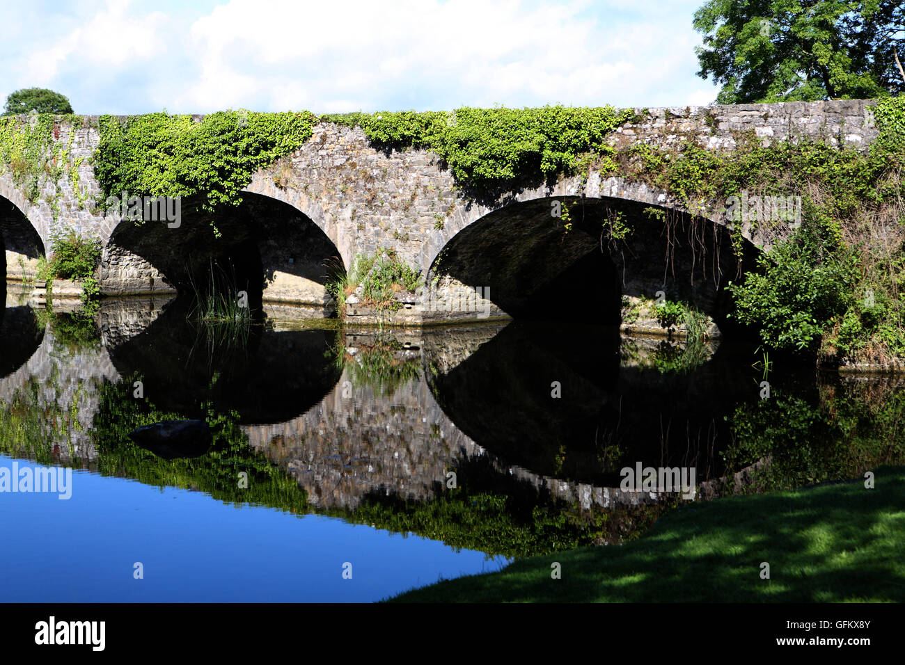 Ponte sul Fiume dei Re in Kells, nella Contea di Kilkenny Irlanda Foto Stock