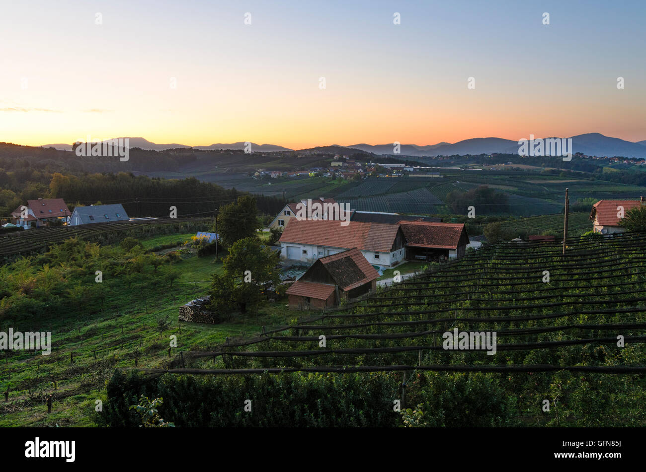 Ilztal: frutteti di mele della Stiria Orientale e viste per le Alpi Fischbach, Austria, Steiermark, Stiria, Steirisches Thermenland - Foto Stock