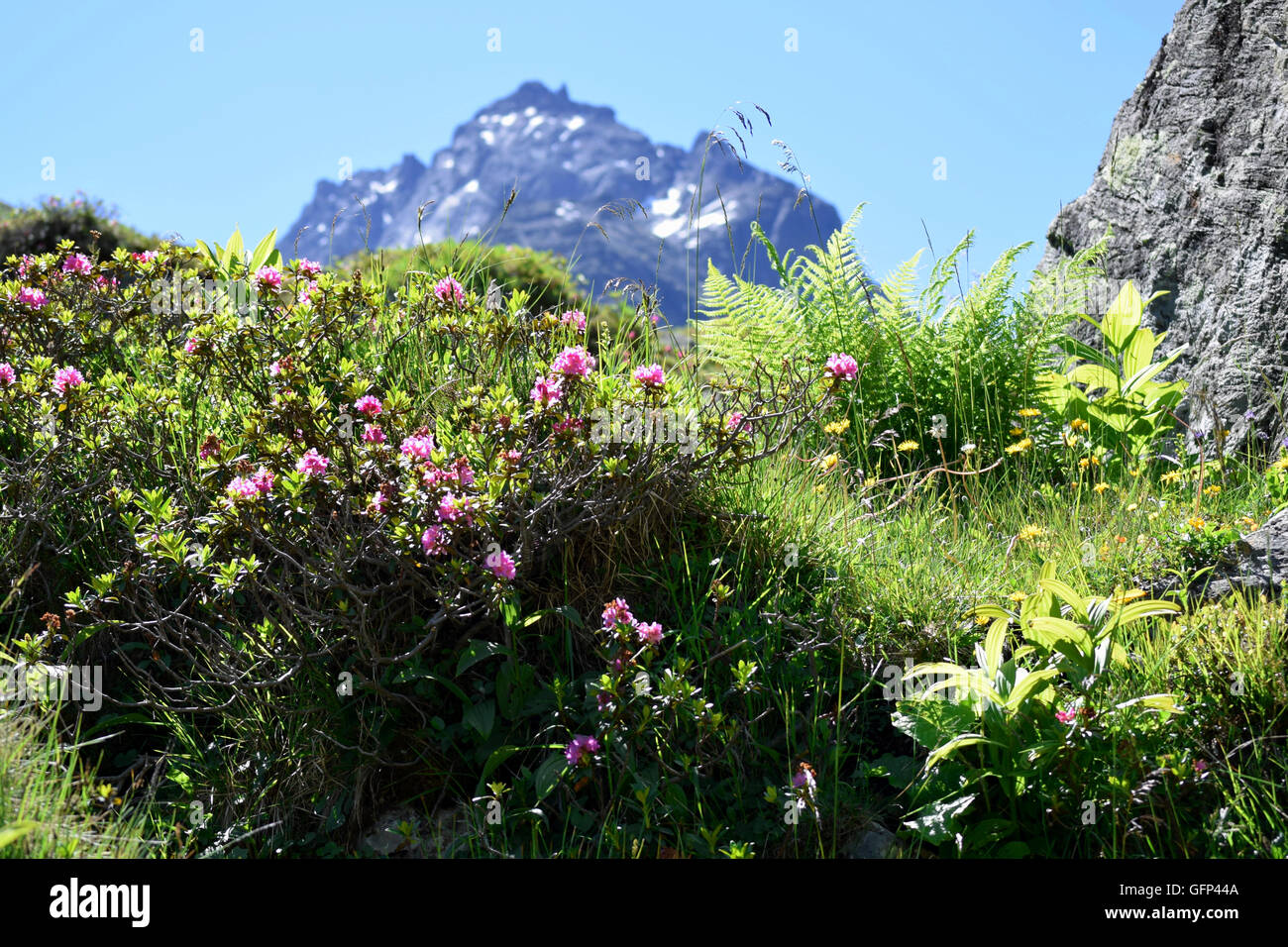 Estate nelle Alpi austriache al di sopra di Ischgl e Galtur, con montagne innevate sullo sfondo Foto Stock