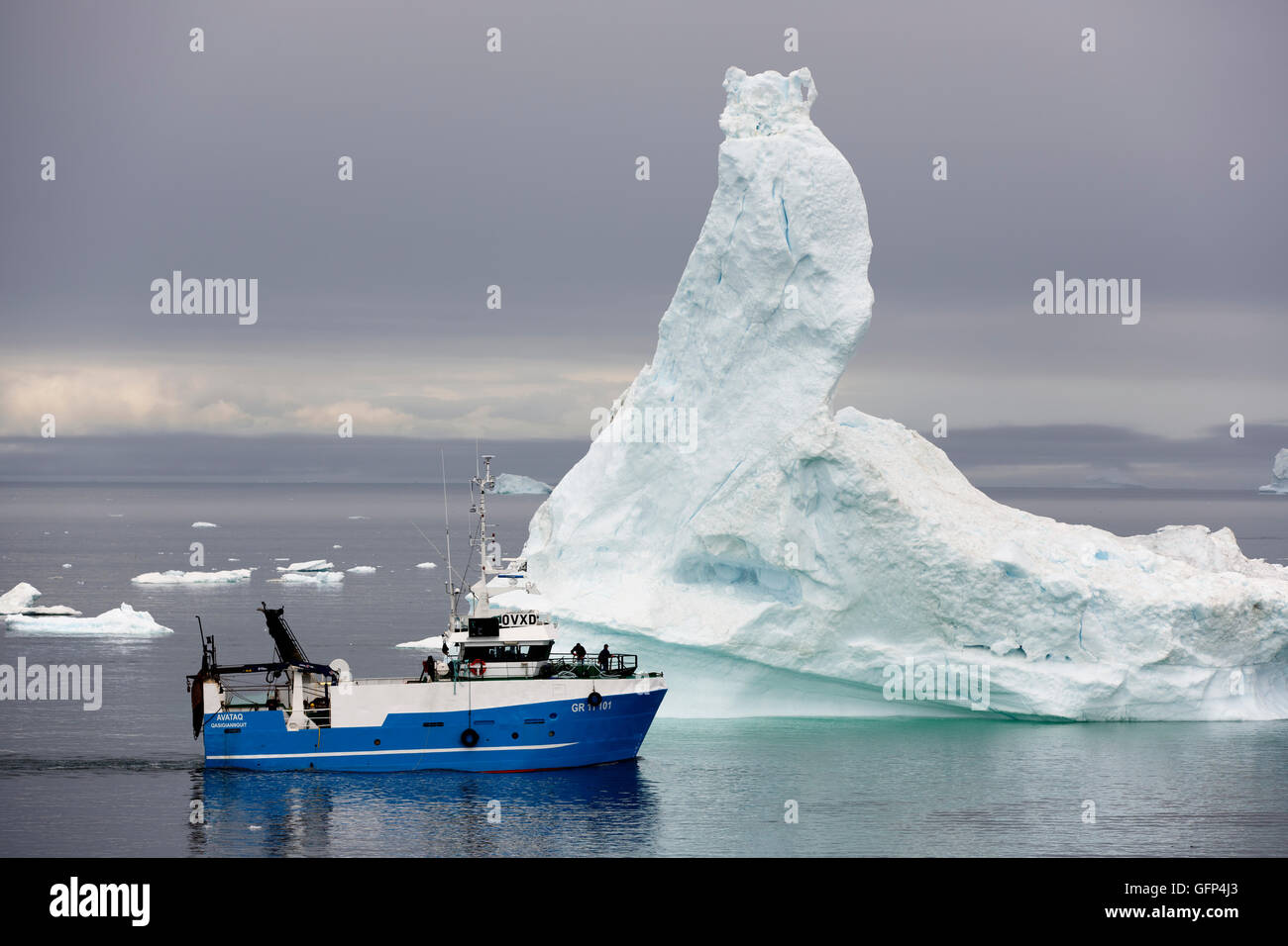 Barca da pesca, icebert, Disko Bay, Ilulissat Foto Stock