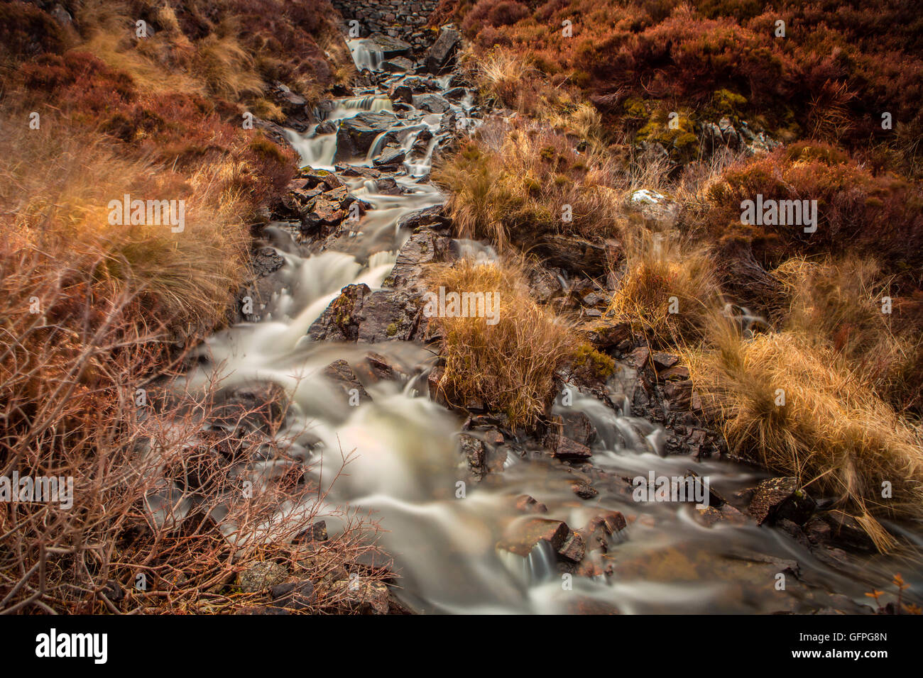 Cascata scozzese Foto Stock