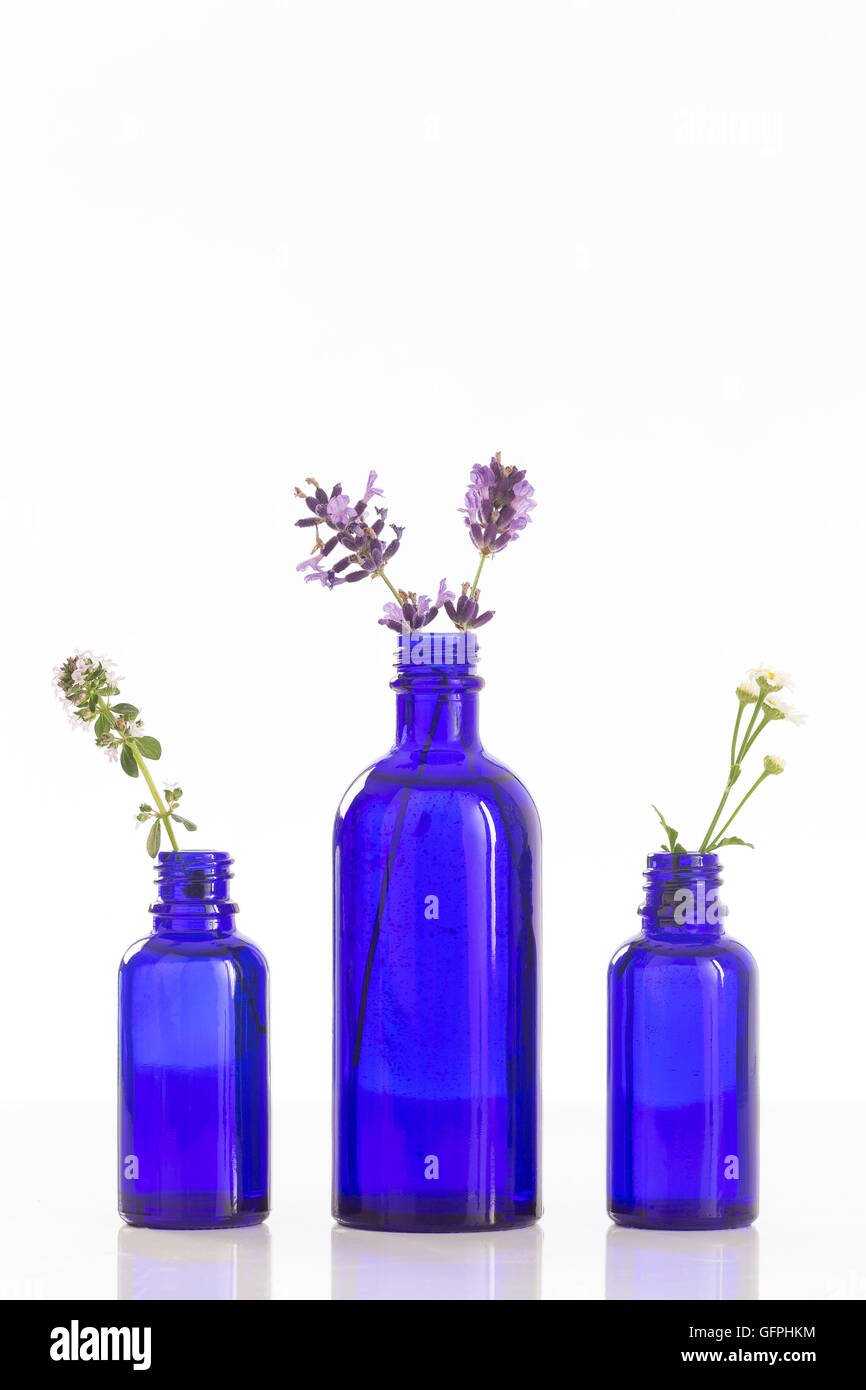 Azzurro bottiglie di olio essenziale con erbe fesh Foto Stock