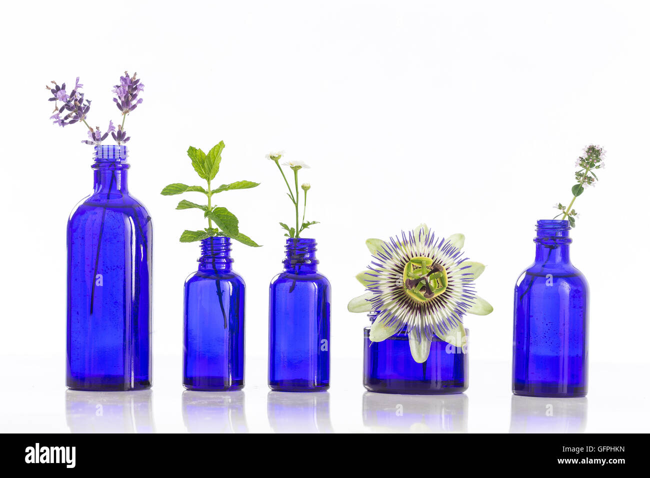 Azzurro bottiglie di olio essenziale con erbe fesh Foto Stock
