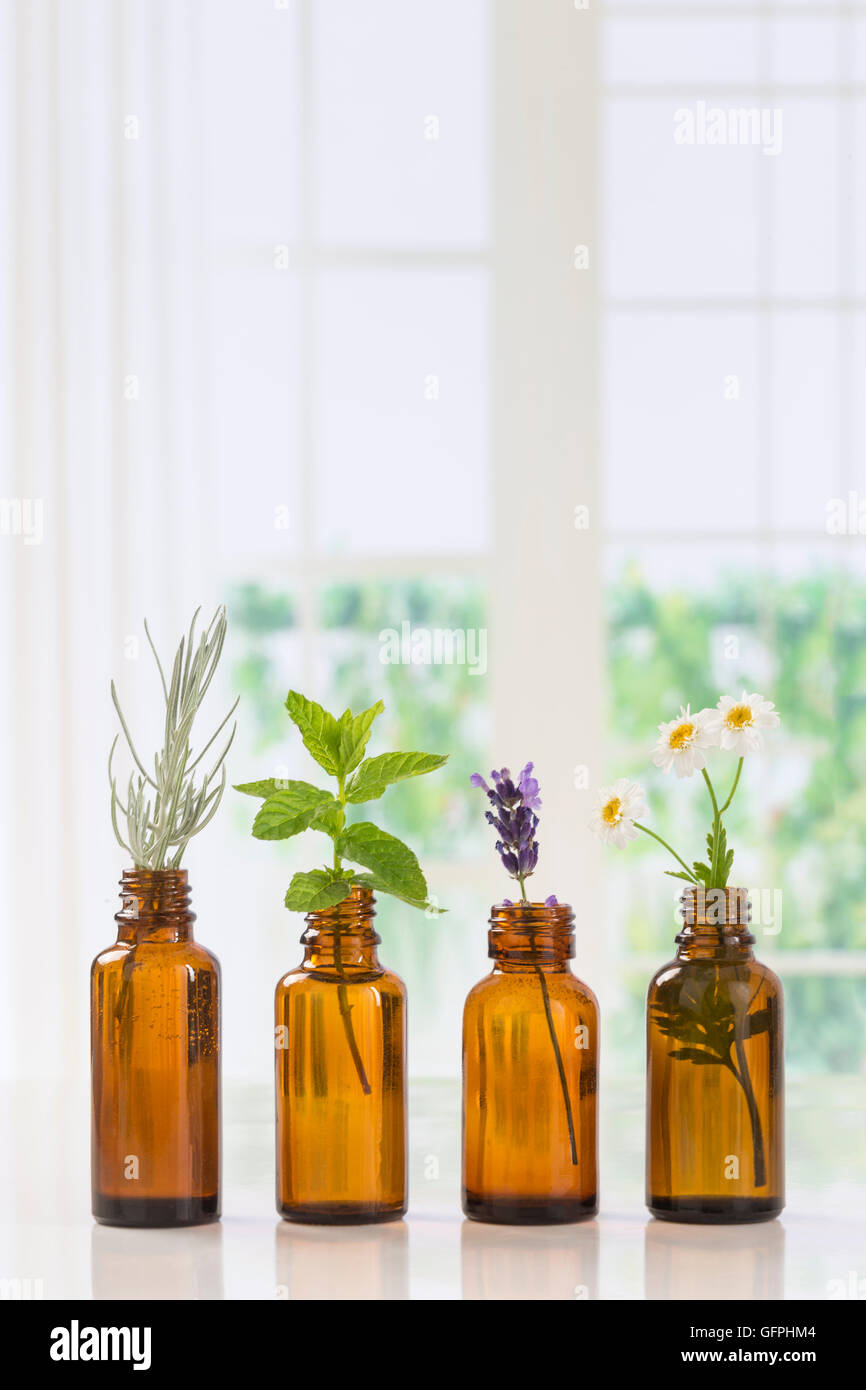 Brown bottiglie di olio essenziale con erbe fresche Foto Stock