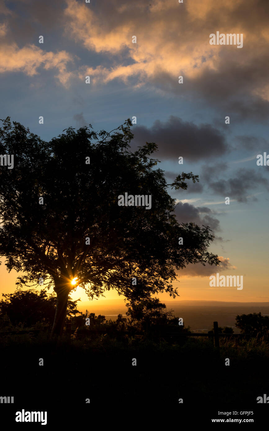 Silhouette di alberi al tramonto in una serata estiva a Werneth Low Country Park, Hyde, Greater Manchester. Foto Stock