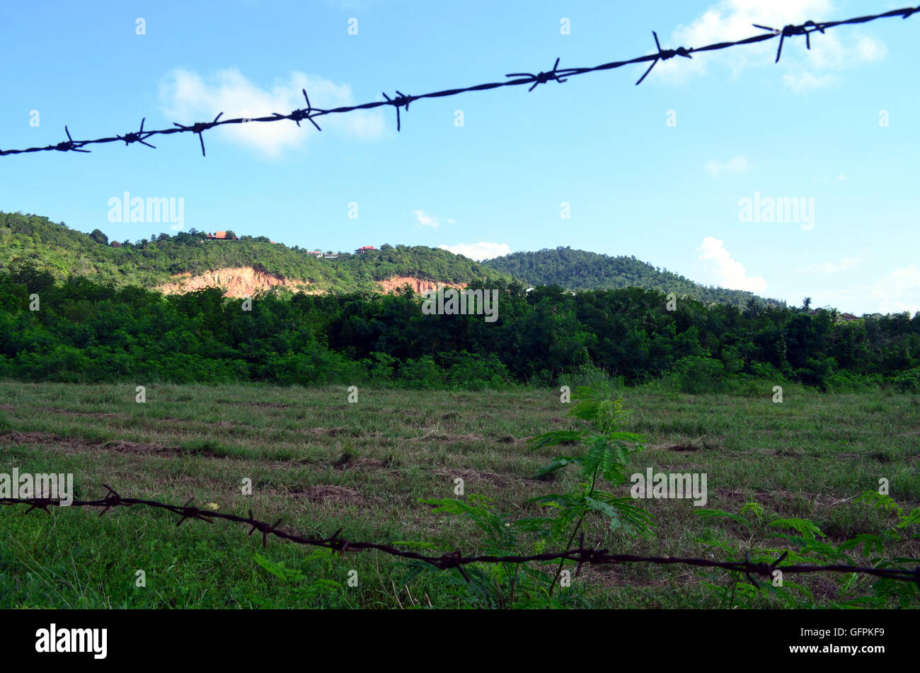 Vista attraverso una recinzione barbwire in Thailandia su un pascolo verde Foto Stock