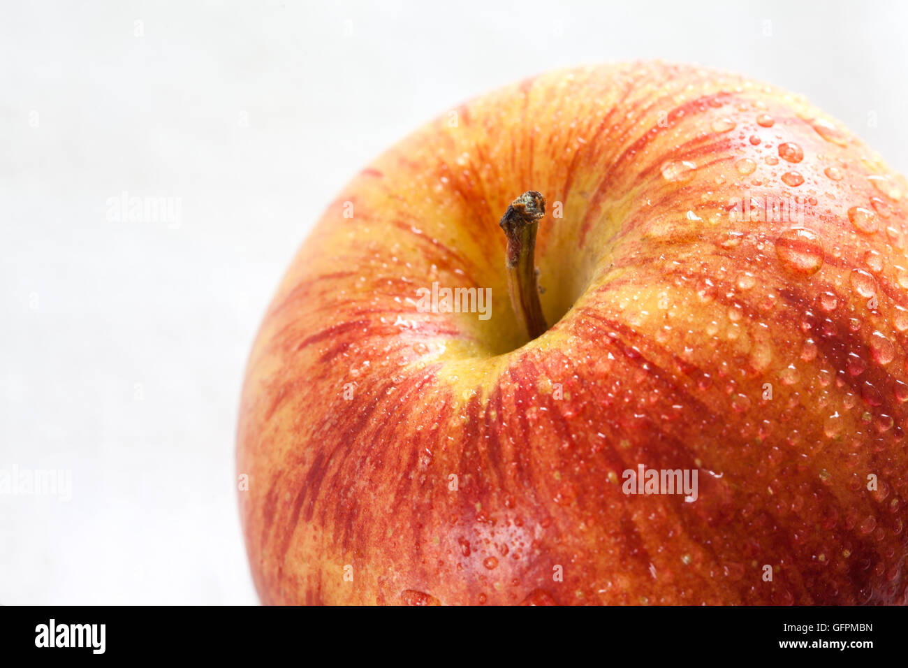 Rosso fresco bagnato apple (malus domestica) su sfondo whithe Foto Stock