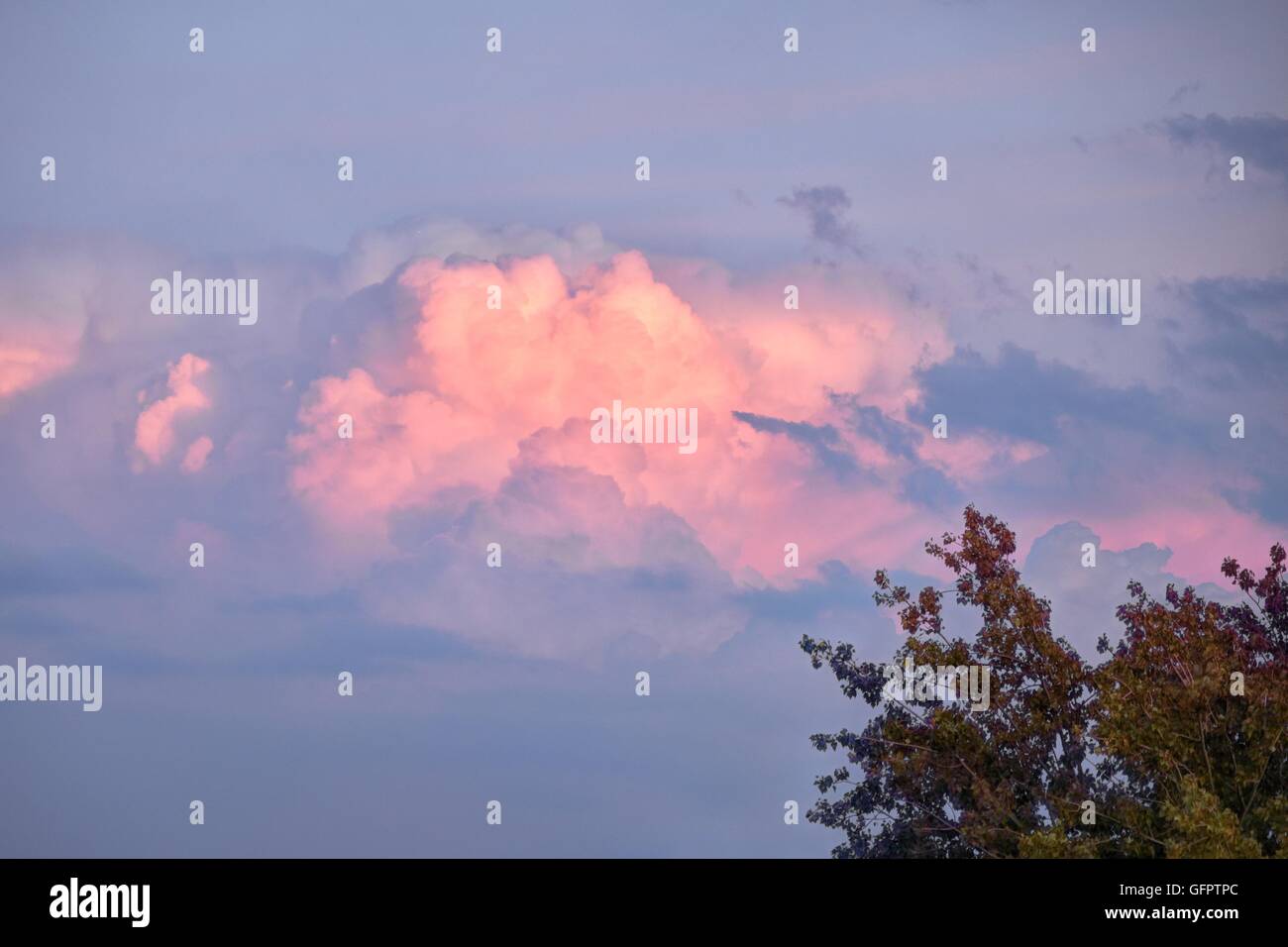 Luminose Nuvole rosa al tramonto Foto Stock