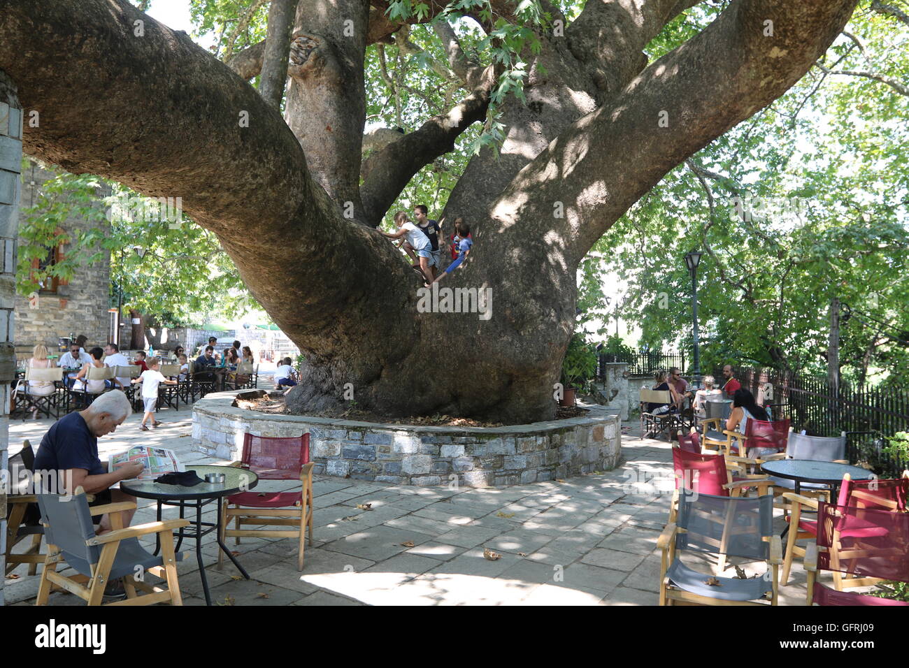 Per coloro che godono di estate attorno ad una molto grande e vecchio albero piano in Agia Paraskevi Square, Tsagarada, Pelion peninsula, Grecia. Foto Stock
