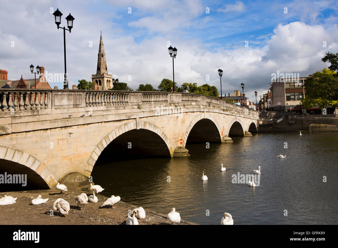 Regno Unito, Inghilterra, Bedfordshire, Bedford, cigni in 1813 città ponte sul Fiume Great Ouse Foto Stock