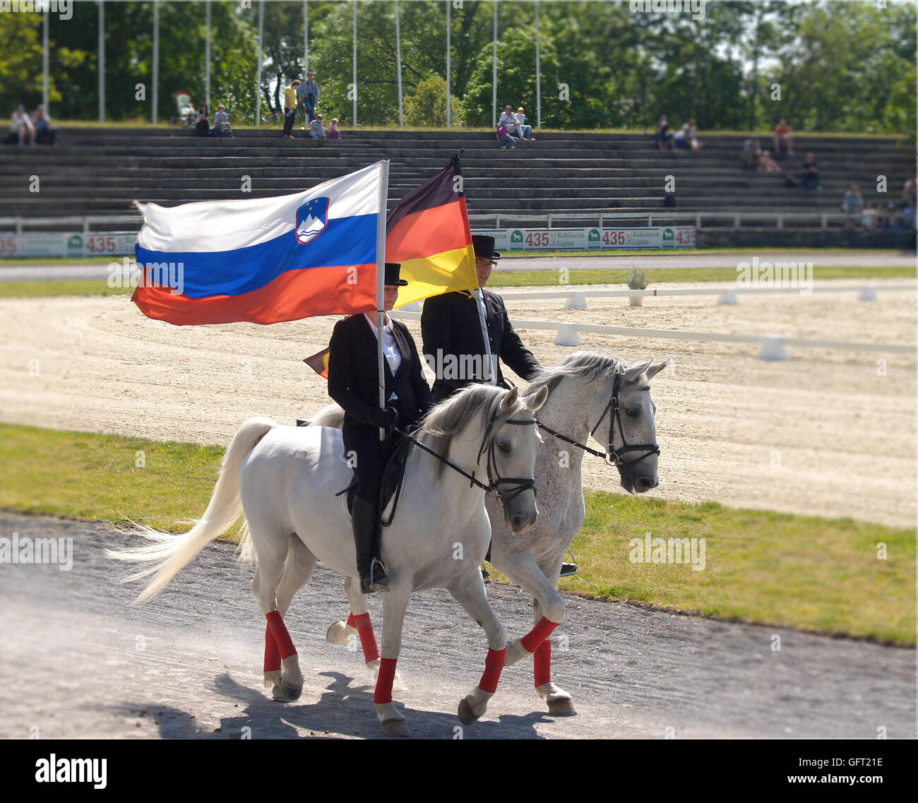 La scuderia a Lipizza, Slovenia, maggio 2016. Visualizzare le compagnie di bandiera dalla Slovenia e Germania Foto Stock