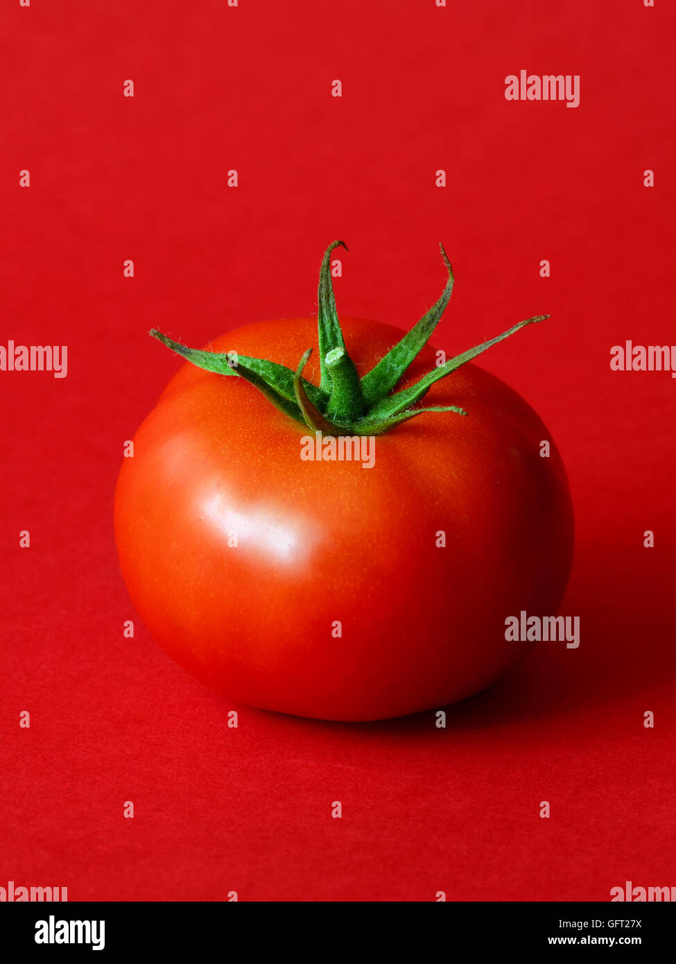 Un pomodoro maturo su uno sfondo rosso Foto Stock