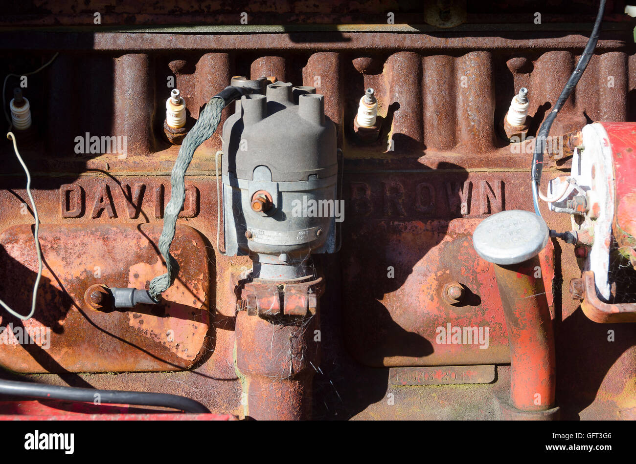 David Brown il motore del trattore, Wellington, Nuova Zelanda Foto Stock