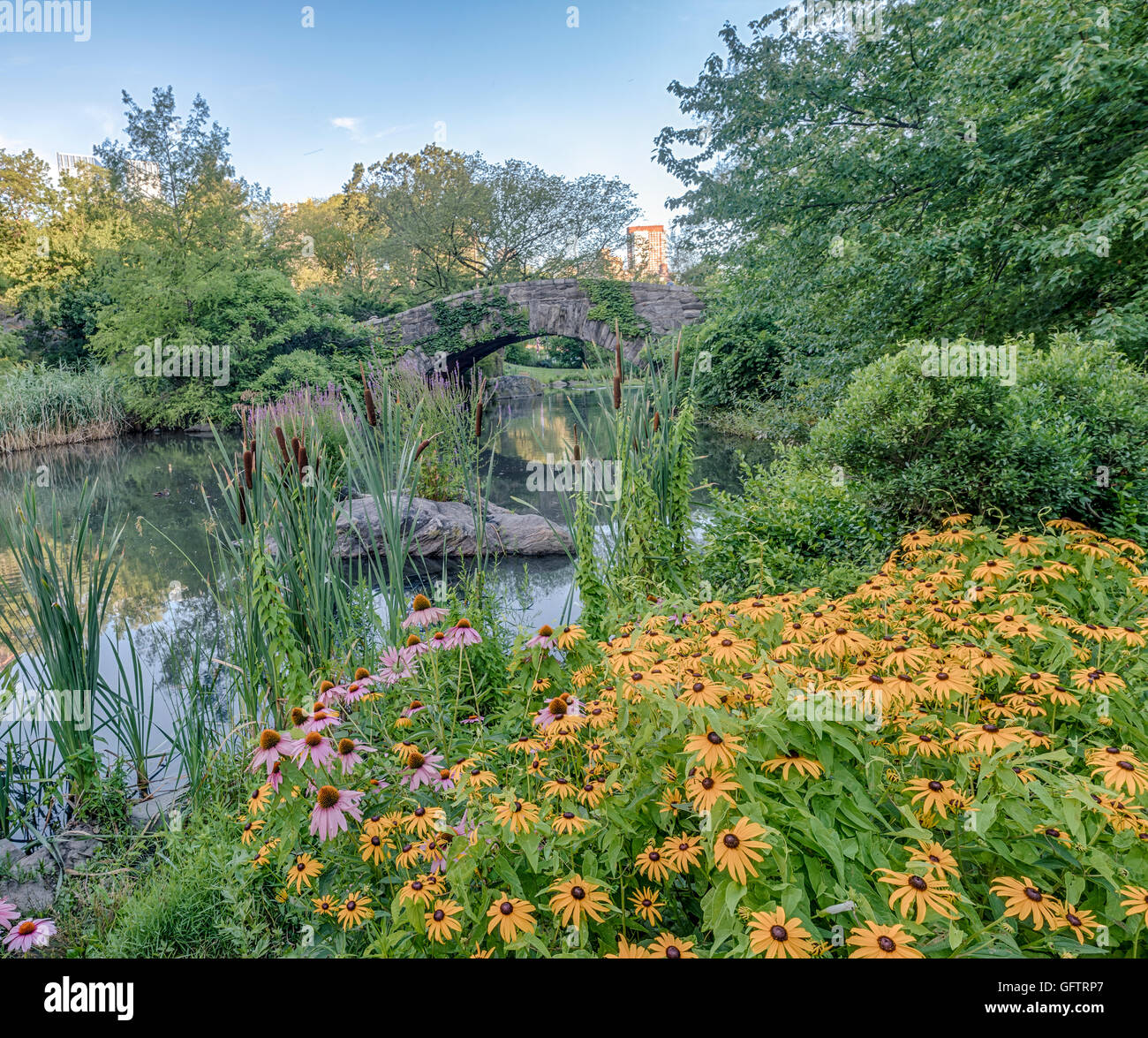 Gapstow bridge in Central Park in luglio e agosto con fiori Foto Stock
