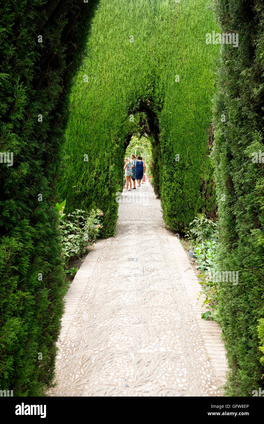 Percorso e cipressi che formano un numero di interno nicchie in giardini di Alhambra e Generalife a Granada, Spagna. Foto Stock