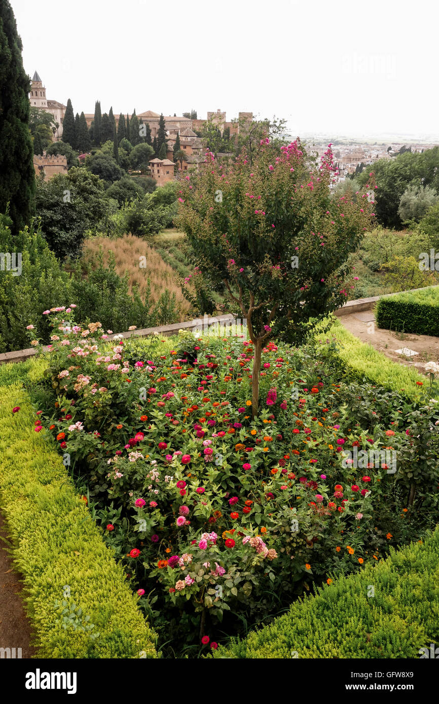 Giardini di Generalife con Complesso Alhambra dietro, Granada, Andalusia, Spagna. Foto Stock