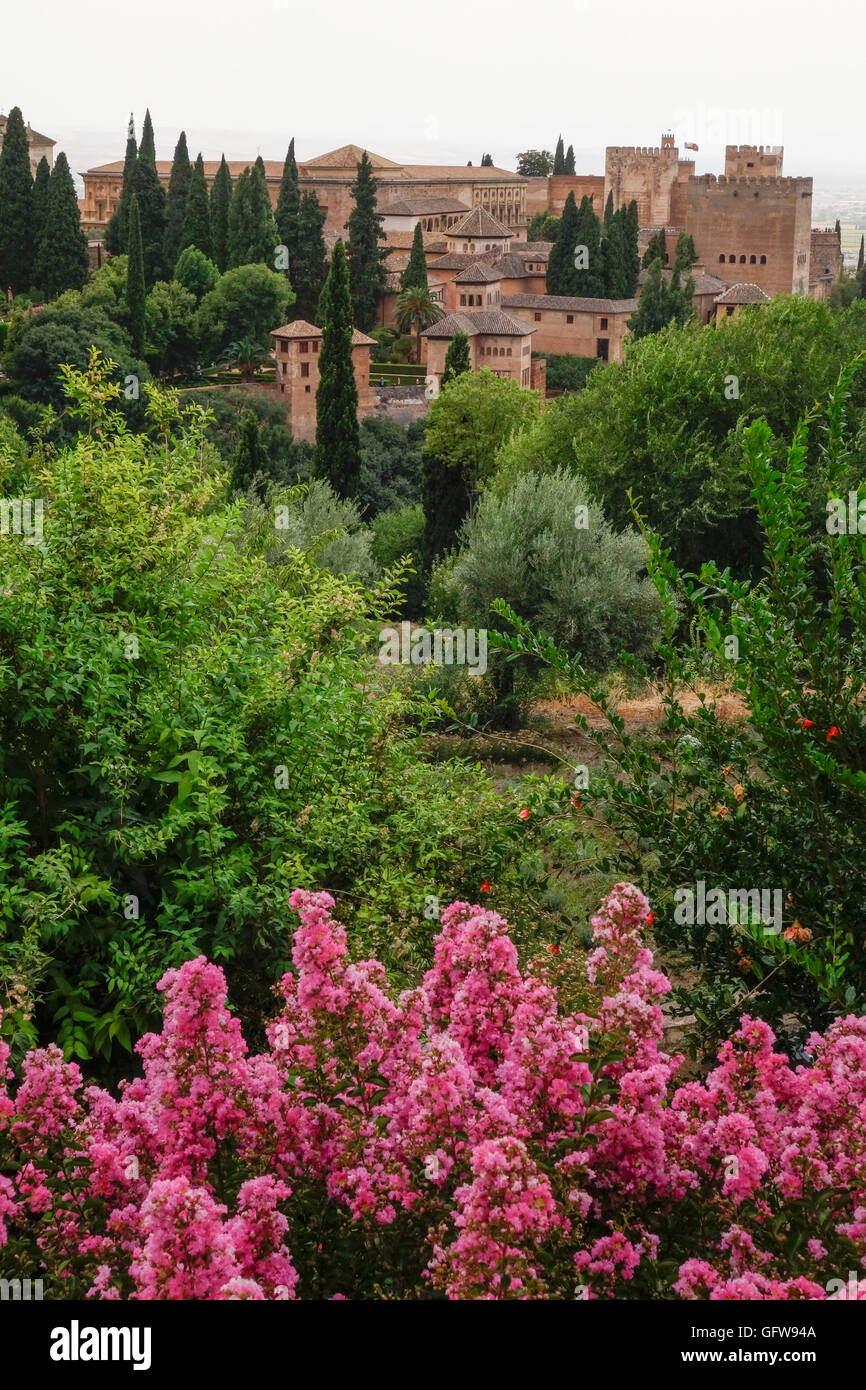 Giardini di Generalife con Complesso Alhambra dietro, Granada, Andalusia, Spagna. Foto Stock