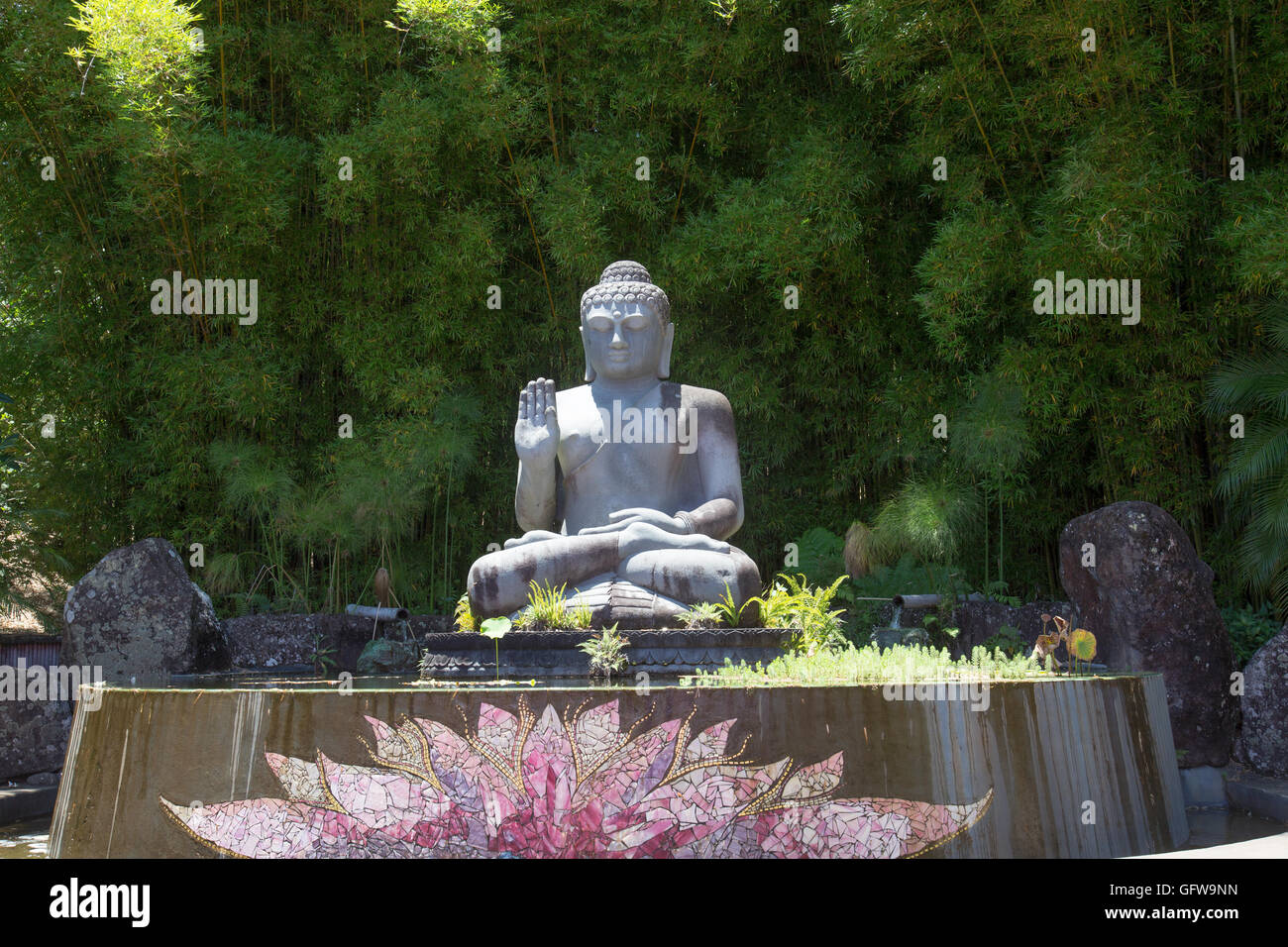 Il Buddha e il laghetto di loto al castello di cristallo in Mullumbimby vicino a Byron Bay, Nuovo Galles del Sud, Australia Foto Stock