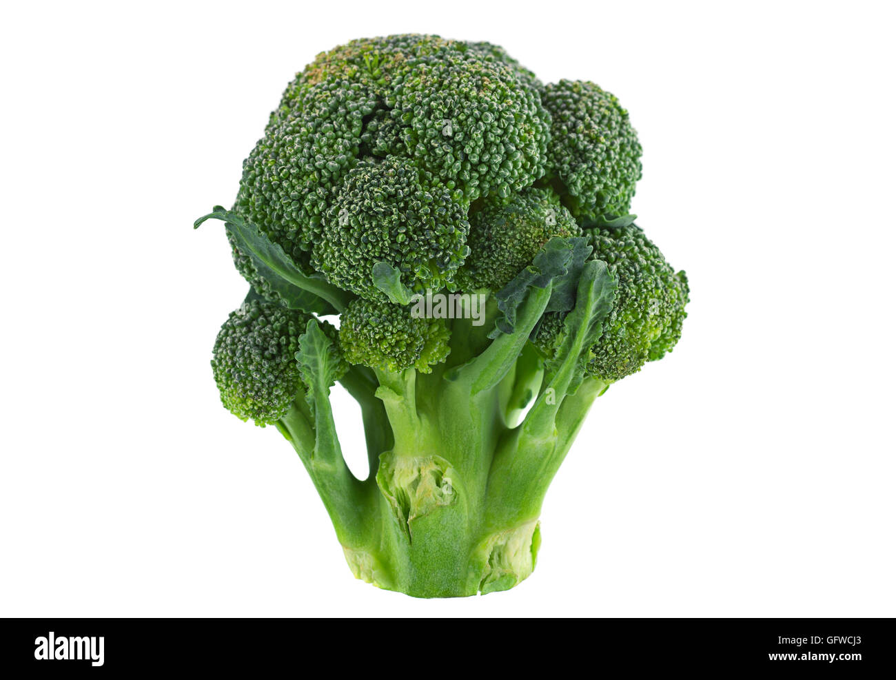 Mini Cavolo broccolo ortaggio isolati su sfondo bianco Foto Stock
