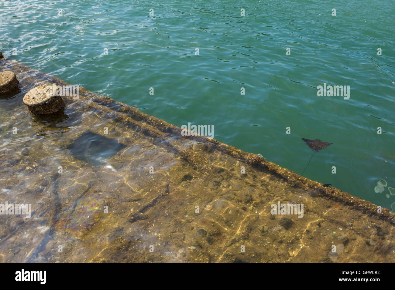 Pearl Harbor relitto Foto Stock