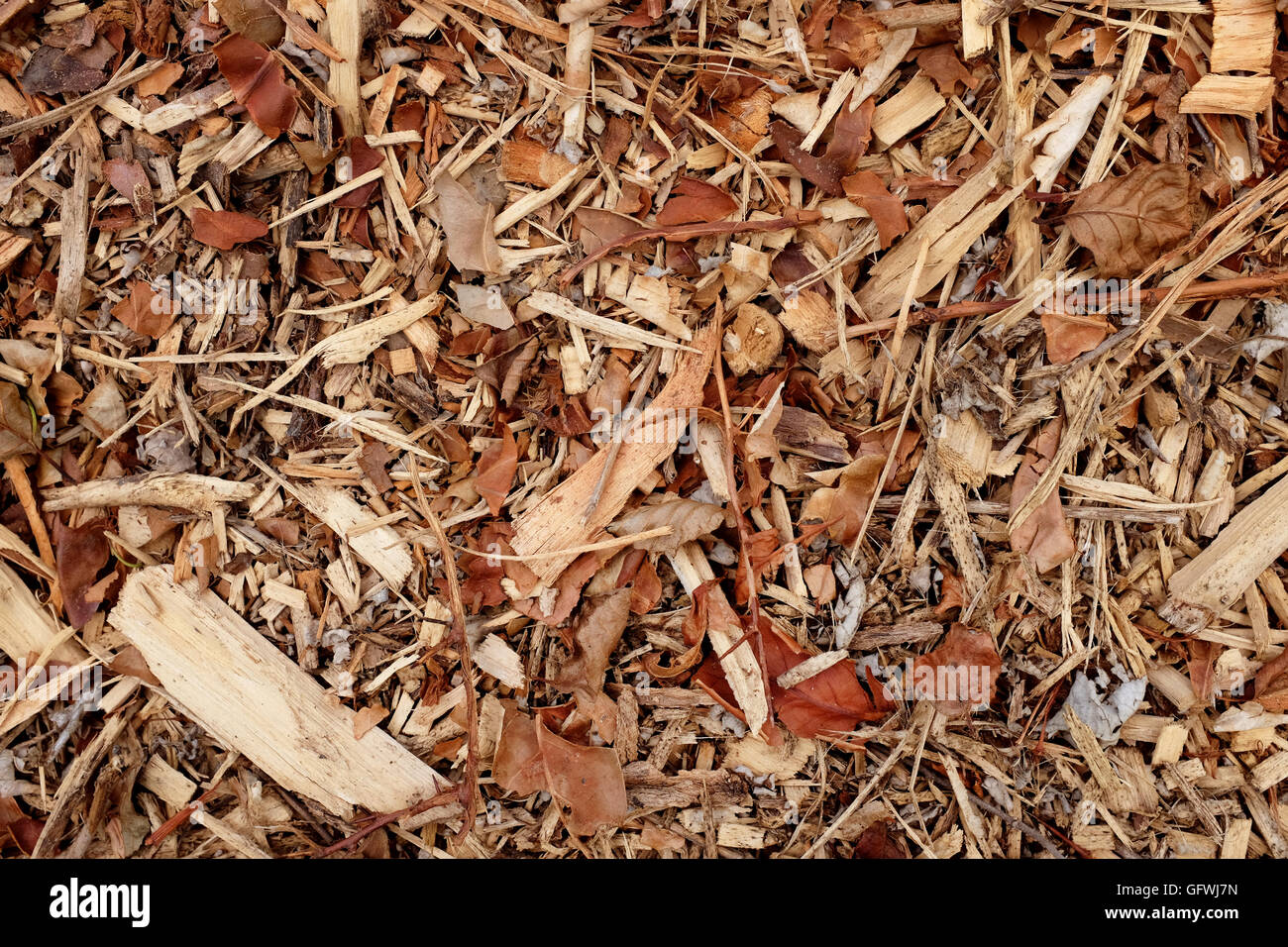 Grossolani trucioli di legno come un astratto ruvida texture di sfondo - legno, ramoscelli e foglie Foto Stock