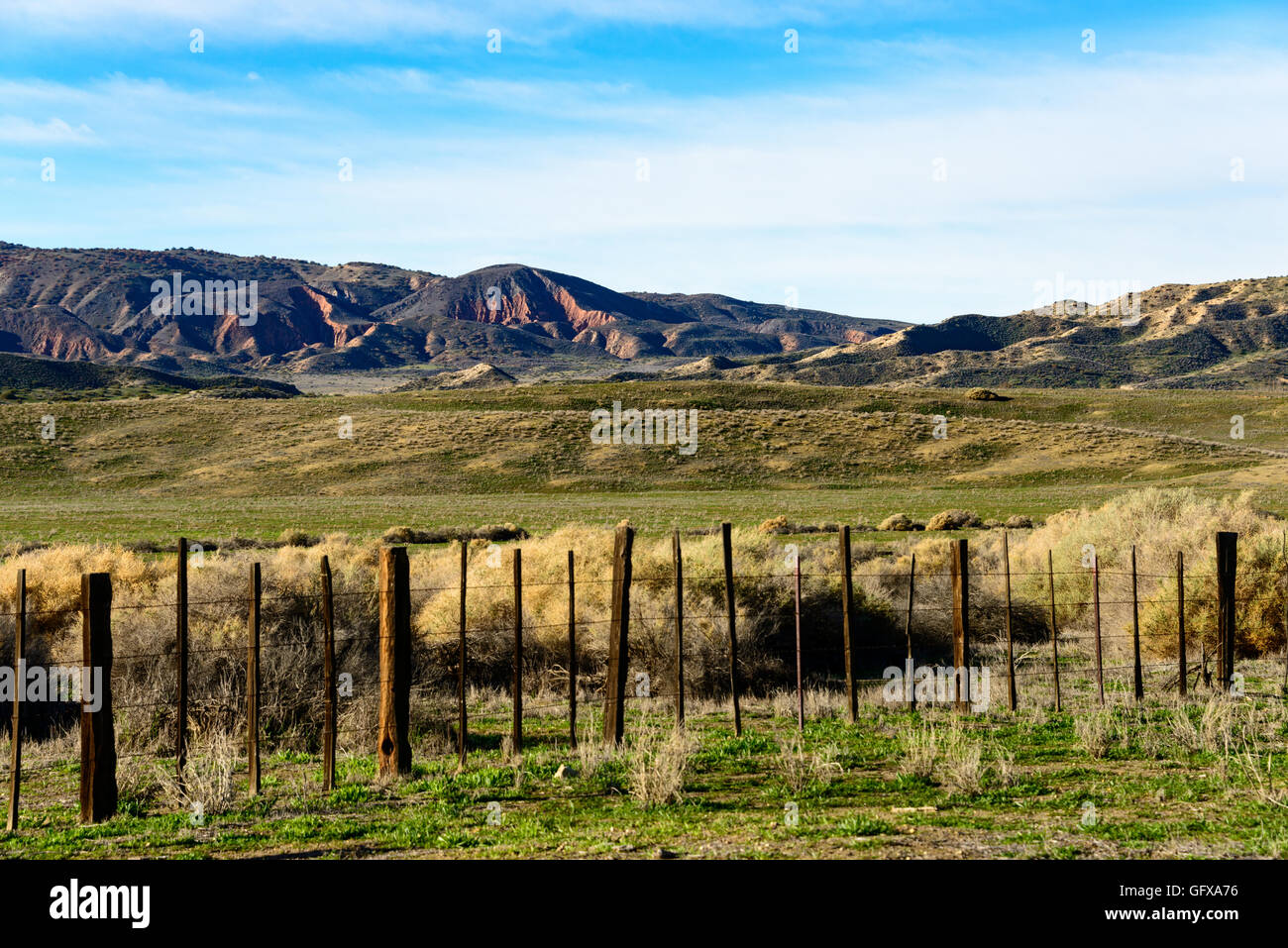 Carrizo Plain monumento nazionale Foto Stock
