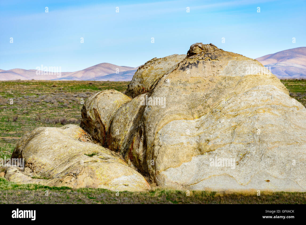 Carrizo Plain monumento nazionale Foto Stock