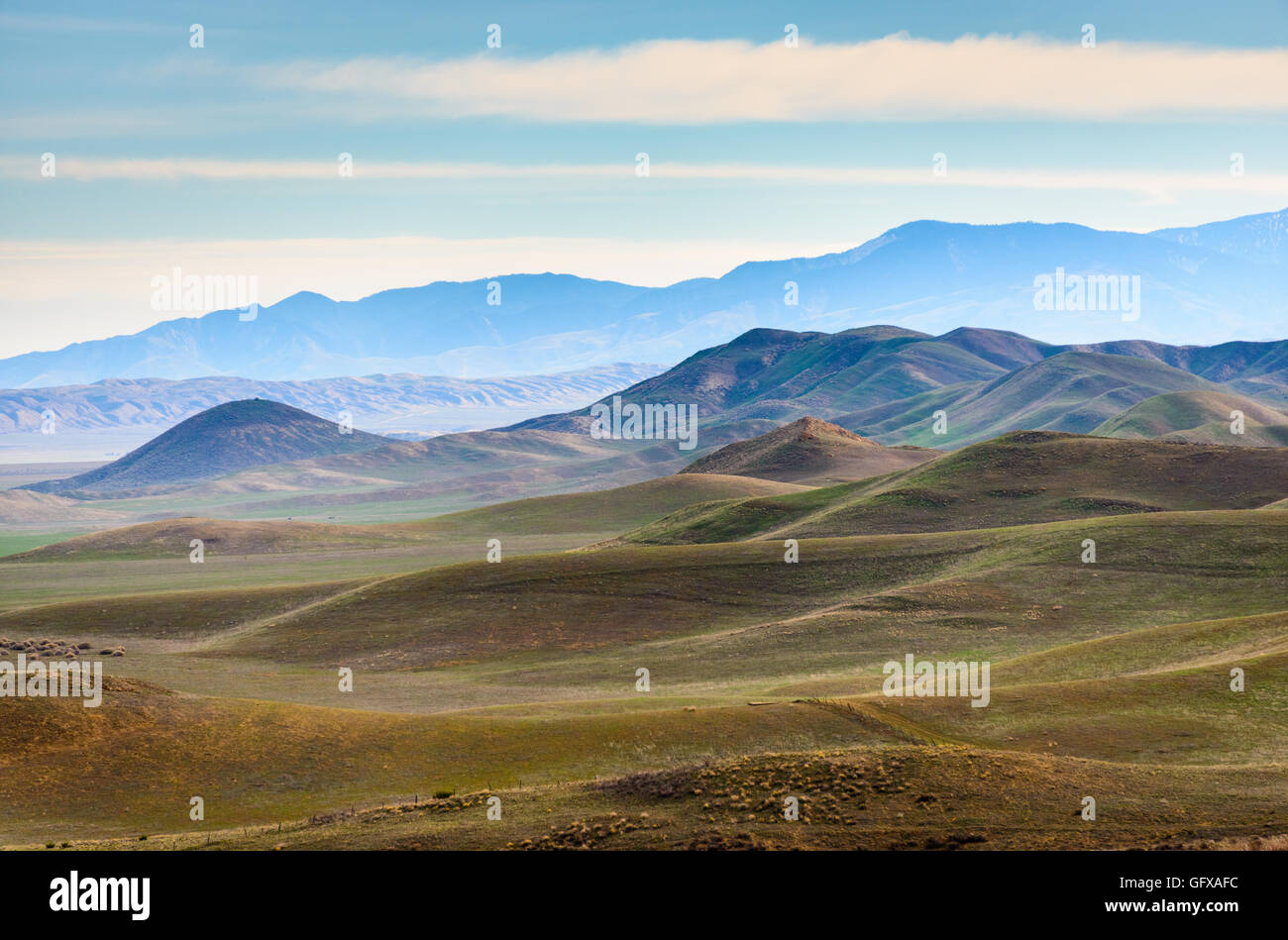 Carrizo Plain monumento nazionale Foto Stock