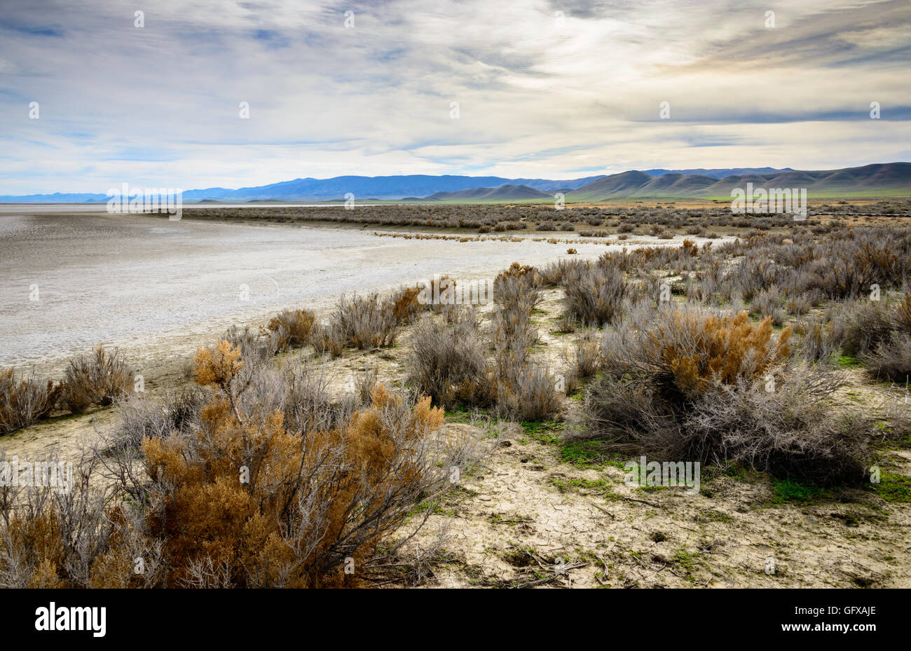 Carrizo Plain monumento nazionale Foto Stock