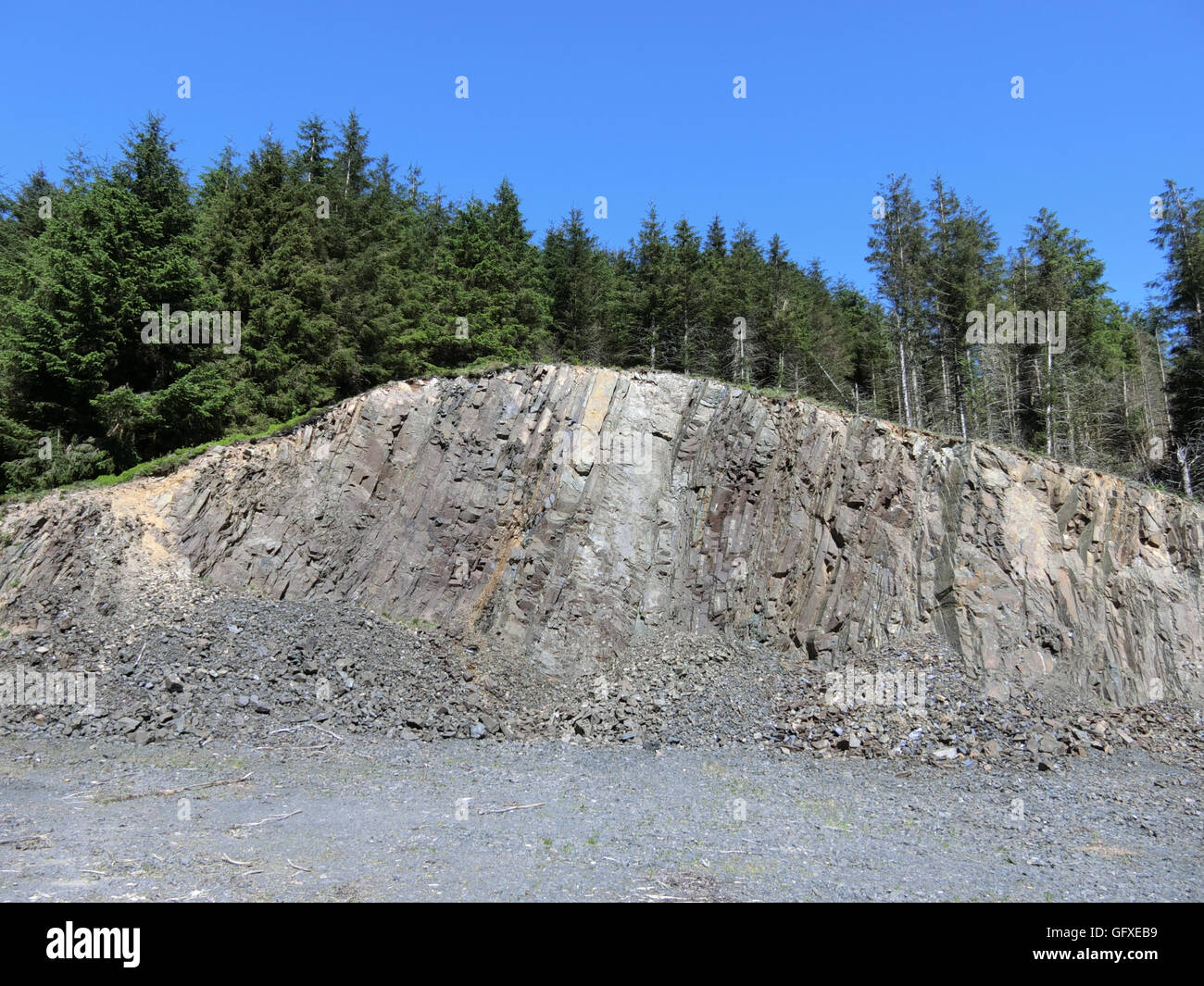 Cava di pietra in un bosco di impostazione, Ettrick Valley, frontiere, Scotland, Regno Unito Foto Stock