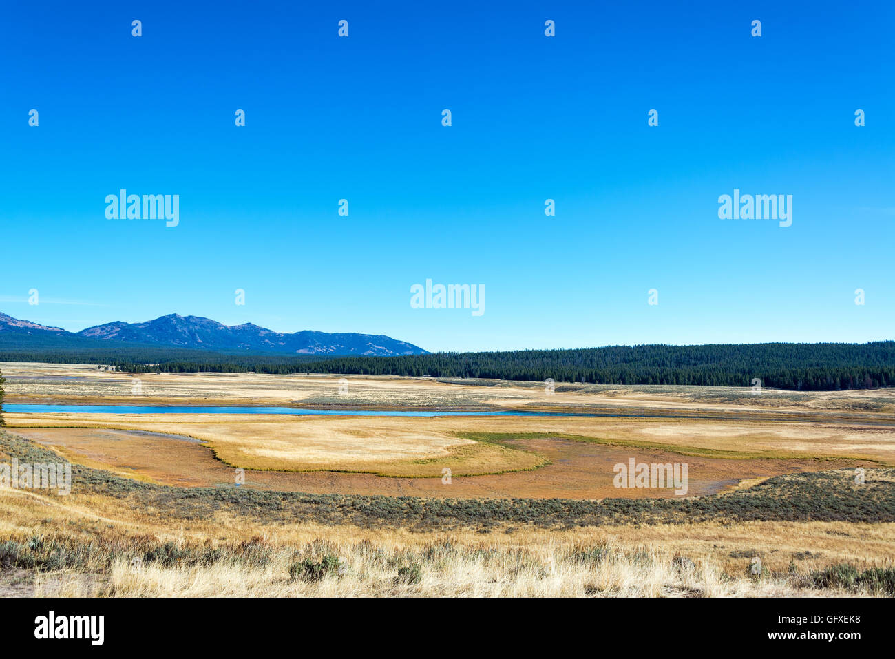Ampia valle con le montagne sullo sfondo nel Parco Nazionale di Yellowstone Foto Stock