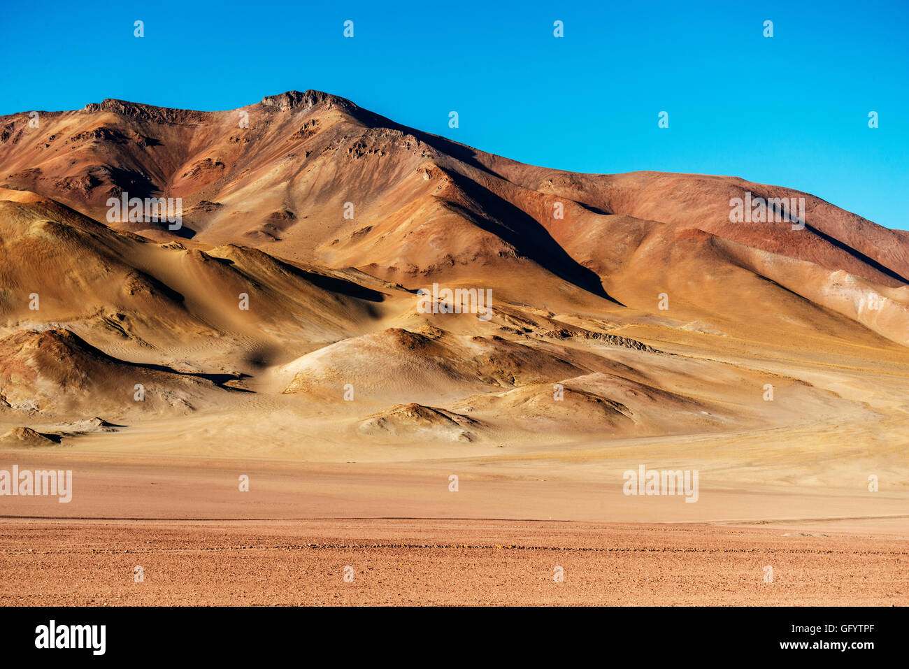 Deserto di Atacama nel Jama passando, confine tra Cile e Argentina all'estremità nord di entrambi i paesi Foto Stock