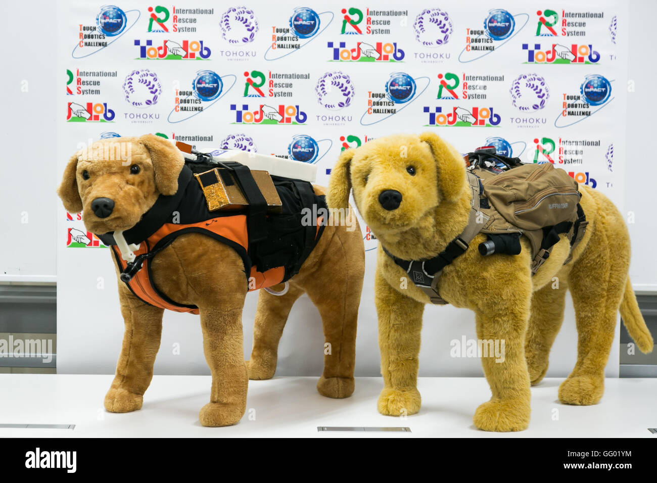 Kazunori Ohno Professore Associato all'Università Tohoku introduce ad apparecchiature high-tech per il salvataggio Cani di Tohoku University come parte della 1000km staffetta a Tokyo 2016 tour su luglio 31, 2016 Miyagi, Giappone. Il Professor Ohno ha spiegato come animali combinato con sensori artificiale come la Cyber-Enhanced canino o Robo-Dog tecnologia potrebbe aiutare a individuare le vittime di disastri naturali. © Rodrigo Reyes Marin/AFLO/Alamy Live News Foto Stock