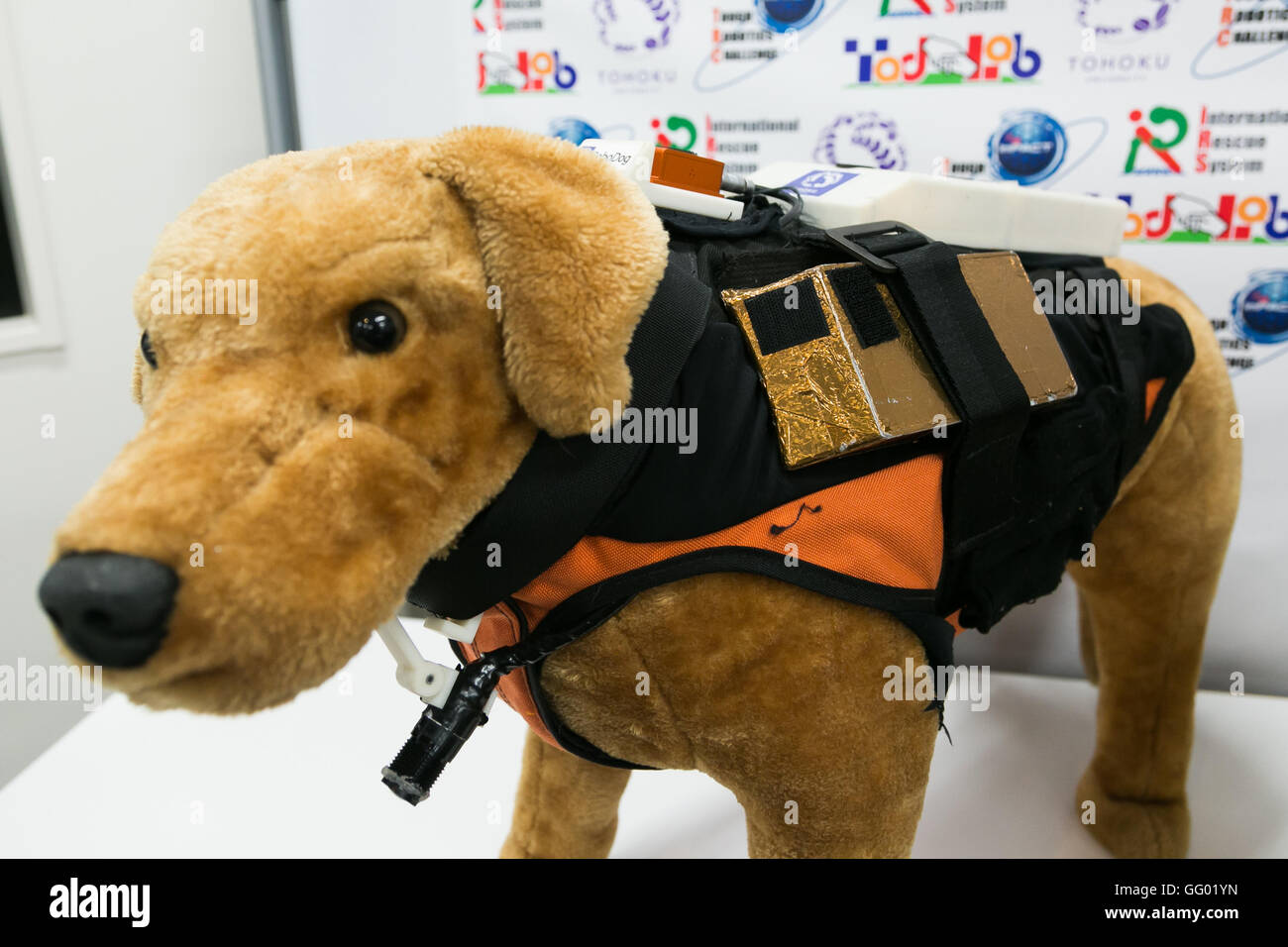 Kazunori Ohno Professore Associato all'Università Tohoku introduce ad apparecchiature high-tech per il salvataggio Cani di Tohoku University come parte della 1000km staffetta a Tokyo 2016 tour su luglio 31, 2016 Miyagi, Giappone. Il Professor Ohno ha spiegato come animali combinato con sensori artificiale come la Cyber-Enhanced canino o Robo-Dog tecnologia potrebbe aiutare a individuare le vittime di disastri naturali. © Rodrigo Reyes Marin/AFLO/Alamy Live News Foto Stock