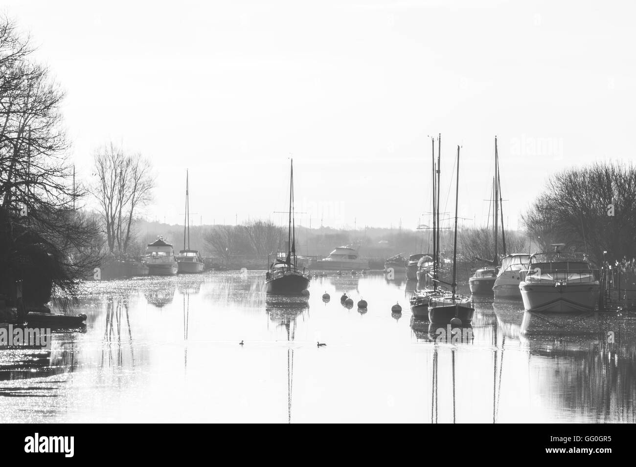 In bianco e nero del fiume Frome in Dorset Foto Stock