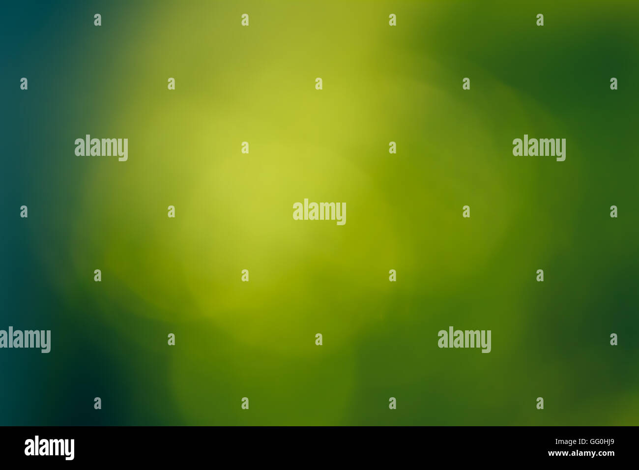 Bokeh di foglie verdi come una foresta naturale sullo sfondo Foto Stock
