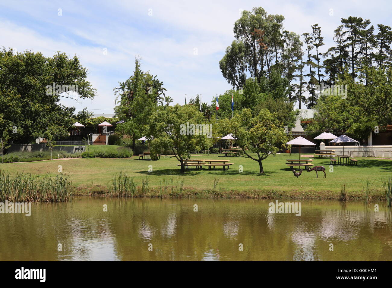 I giardini e il lago presso l'Avenir Wine Estate, Stellenbosch, Sud Africa Foto Stock