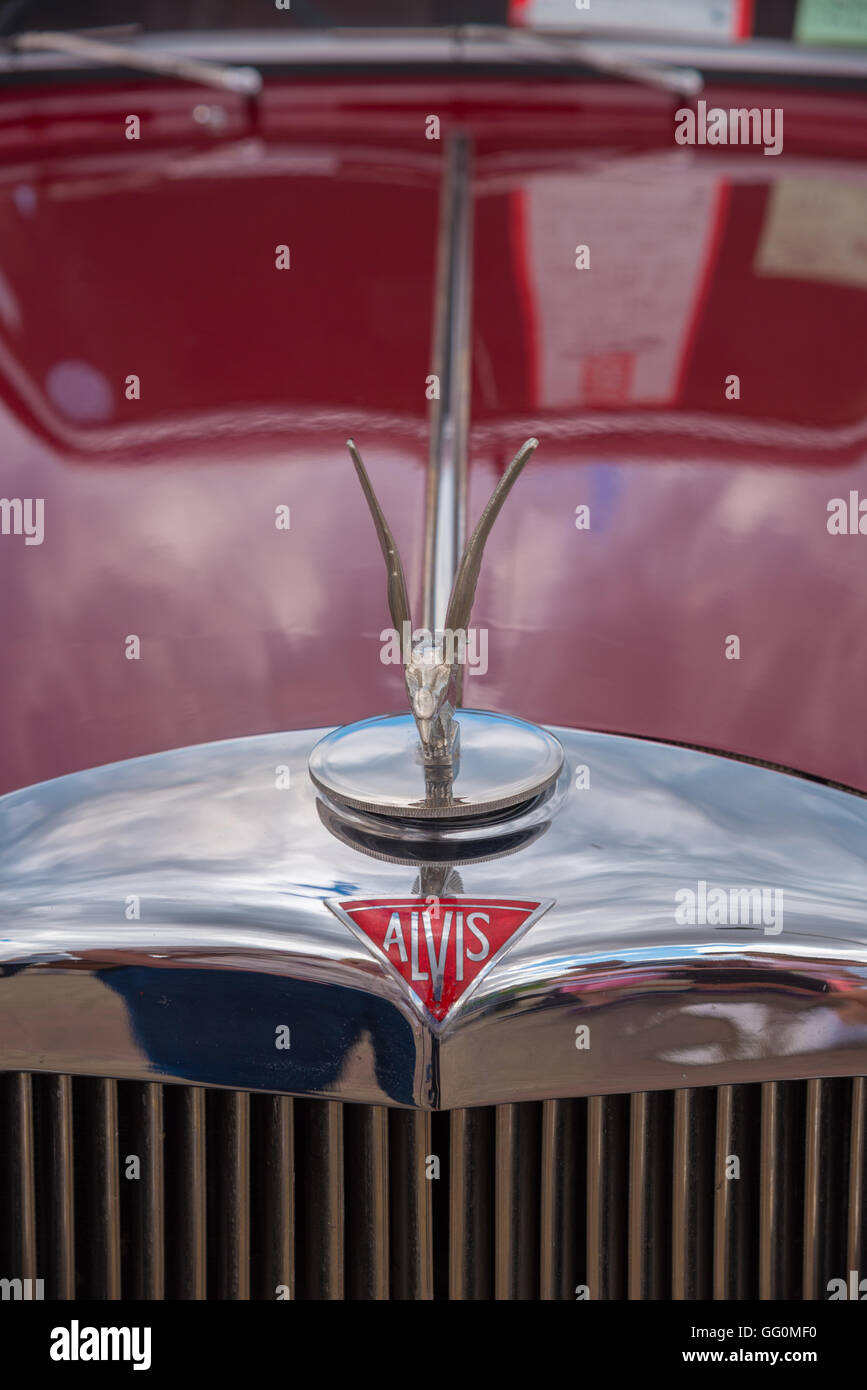 Vintage auto Alvis mascotte e badge Foto Stock